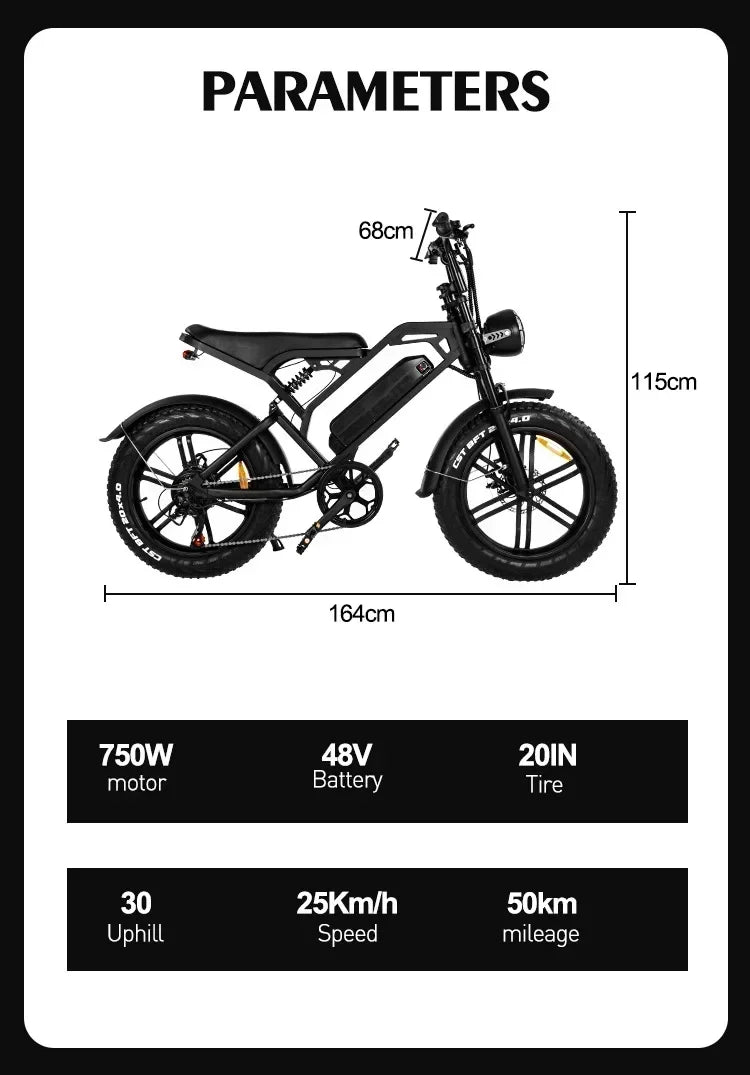 Ebike V20 1000W 48V 20AH Back Seat Fat Tire Electric Bike Beach Cruiser Off-Road Electric Bike Adult Mountain Electric Bike