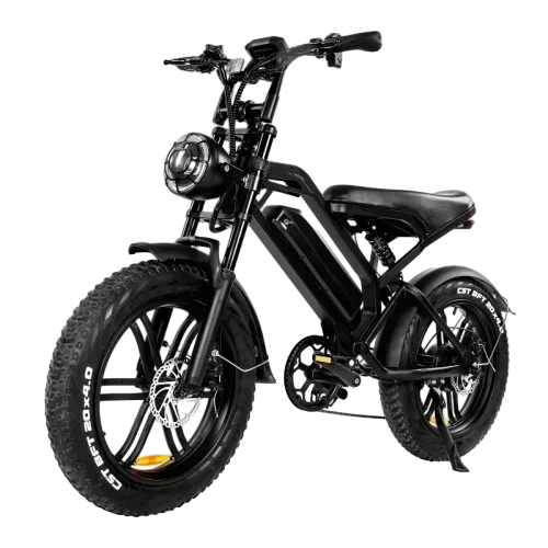 Ebike V20 1000W 48V 20AH Back Seat Fat Tire Electric Bike Beach Cruiser Off-Road Electric Bike Adult Mountain Electric Bike