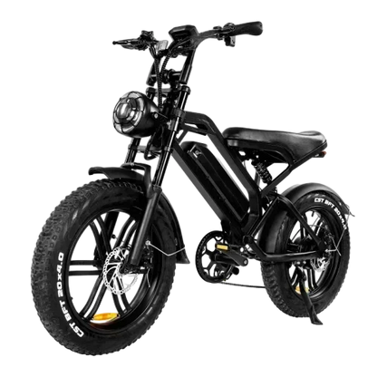 Ebike V20 1000W 48V 20AH Back Seat Fat Tire Electric Bike Beach Cruiser Off-Road Electric Bike Adult Mountain Electric Bike