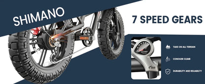 Ebike W018 2000W Dual Motor 25AH Dual Battery Top Speed 55KM/H 20*4.5Fat Tire Electric Bike Mountain Electric Bicycle