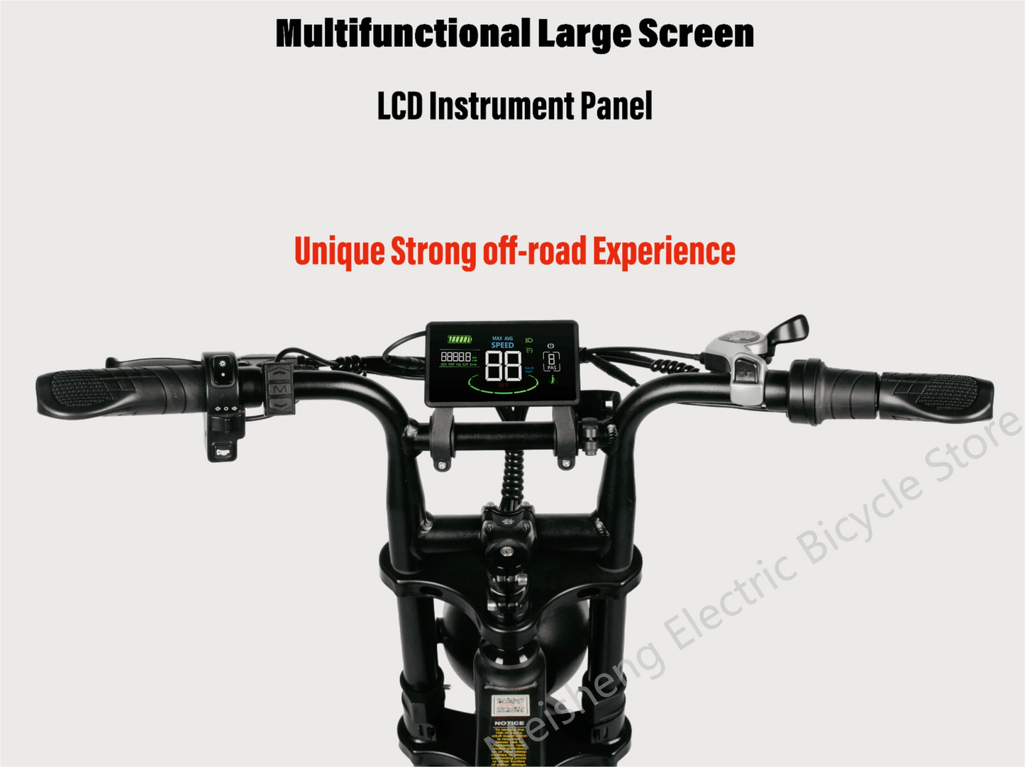 Ebike V20 1000W 48V 20AH Back Seat Fat Tire Electric Bike Beach Cruiser Off-Road Electric Bike Adult Mountain Electric Bike