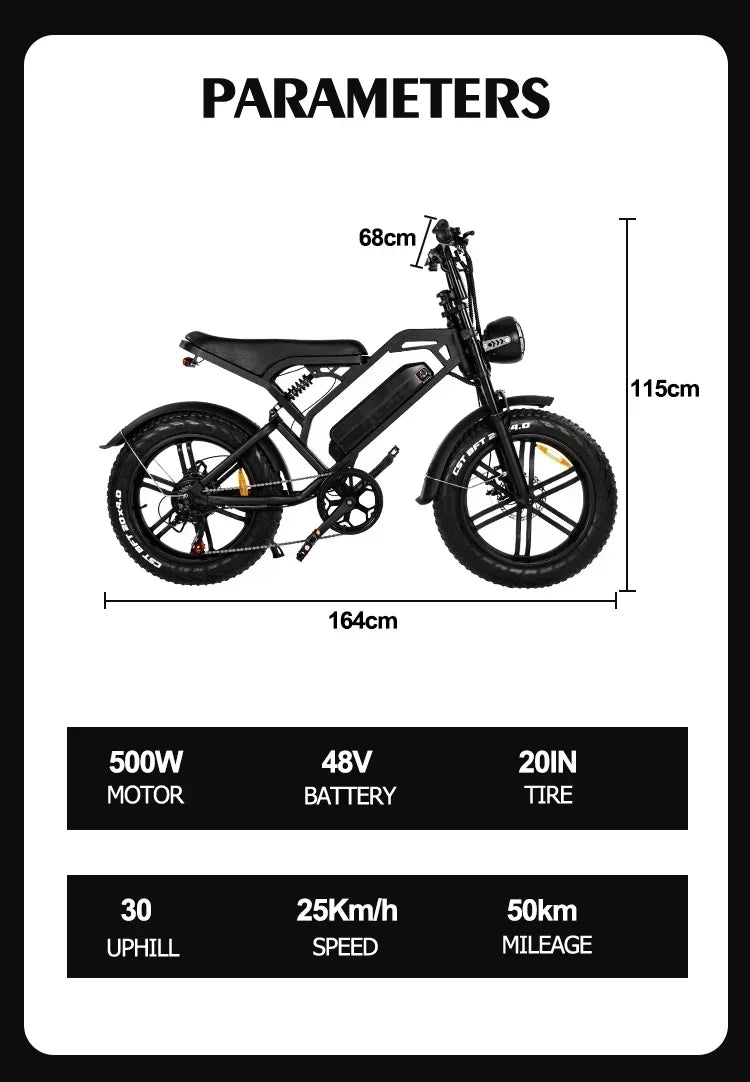 Newly V20Pro electric bicycle 1000W 48V 15AH ebike , 20 inch electric fat tire electric city mountain bike